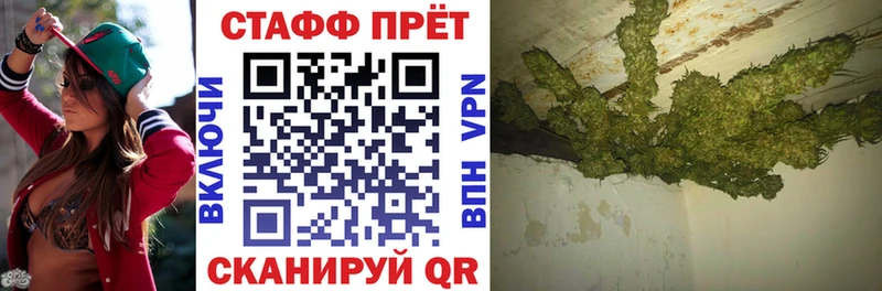 Виды наркотиков купить Северская A PVP  Псилоцибиновые грибы  ГАШ  Кодеин  Меф 