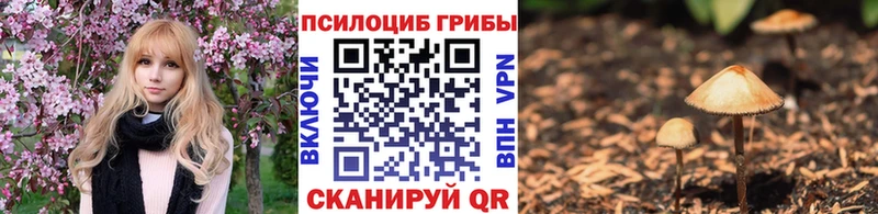 Псилоцибиновые грибы Magic Shrooms Северская