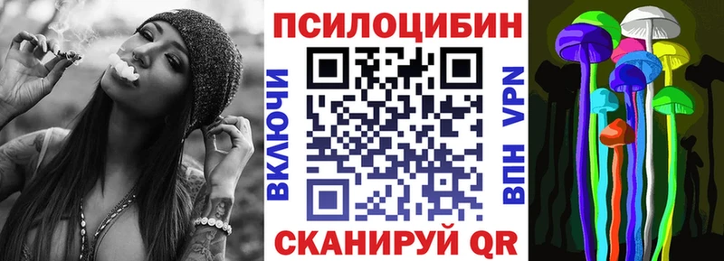Галлюциногенные грибы Cubensis Северская